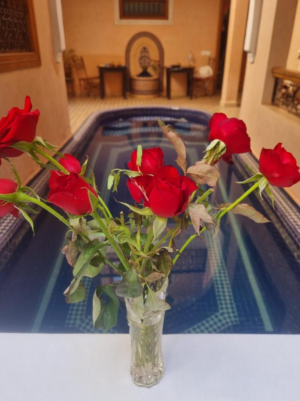Riad Arbre Bleu マラケシュ エクステリア 写真